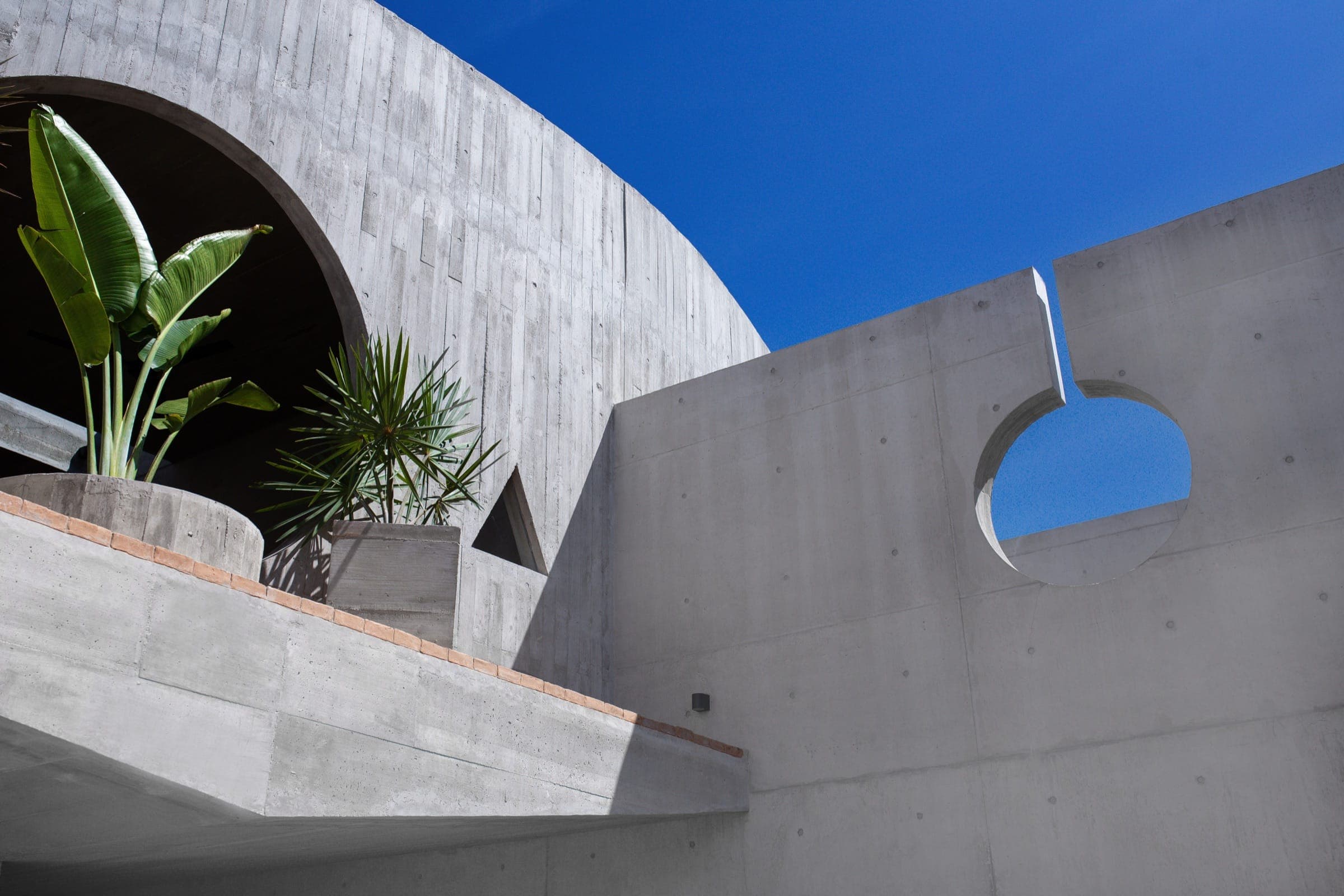 Casa Palmas, terraza de concreto con vegetación