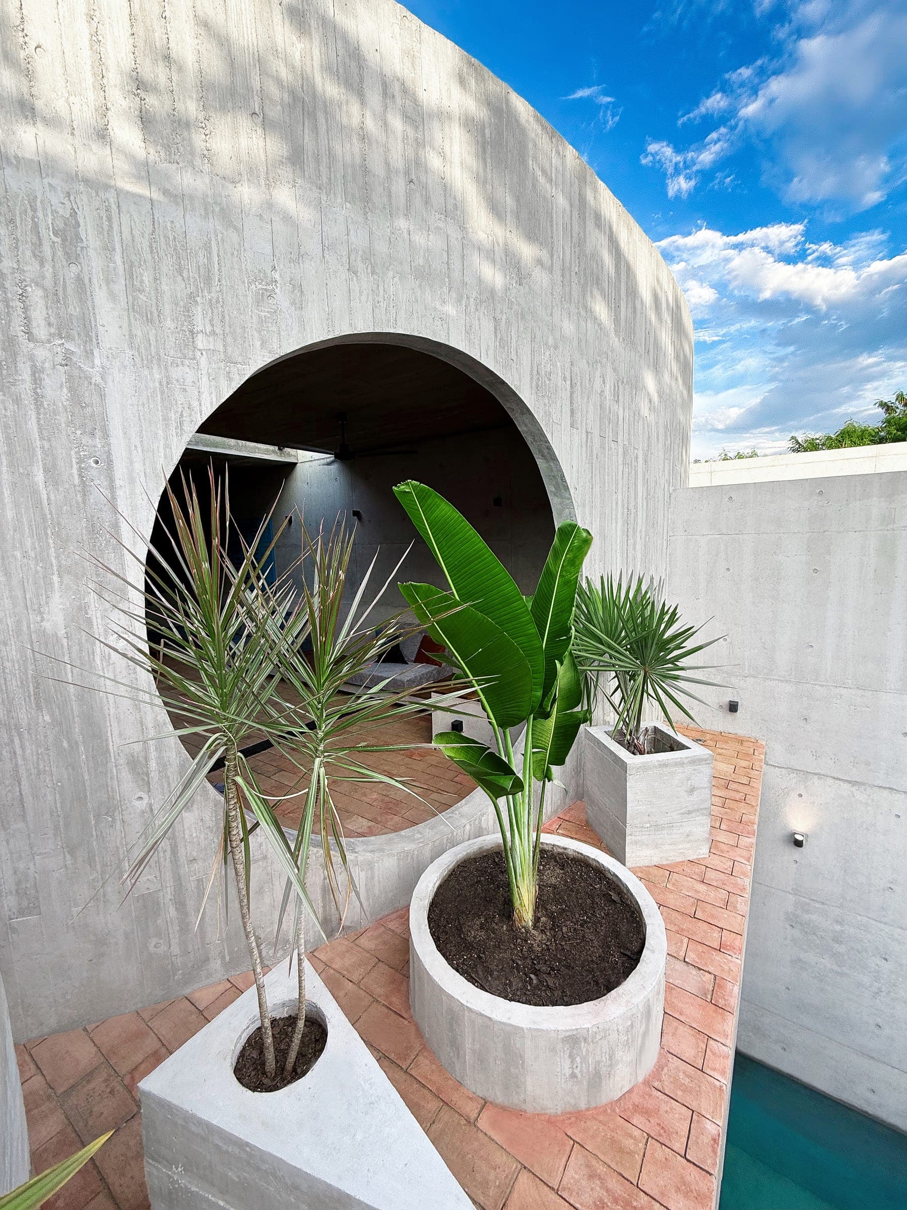 Palmas I — foto 2