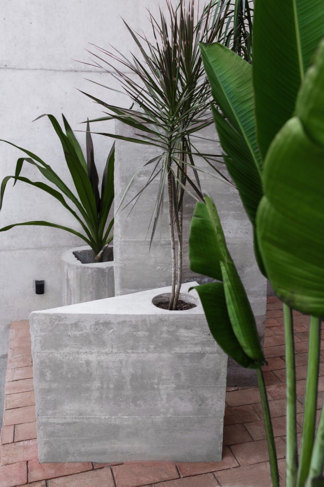 Casa Zii