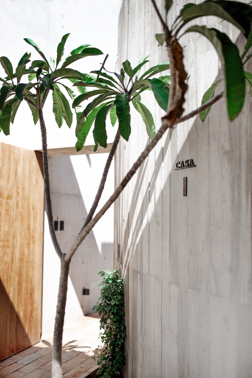Casa Zii